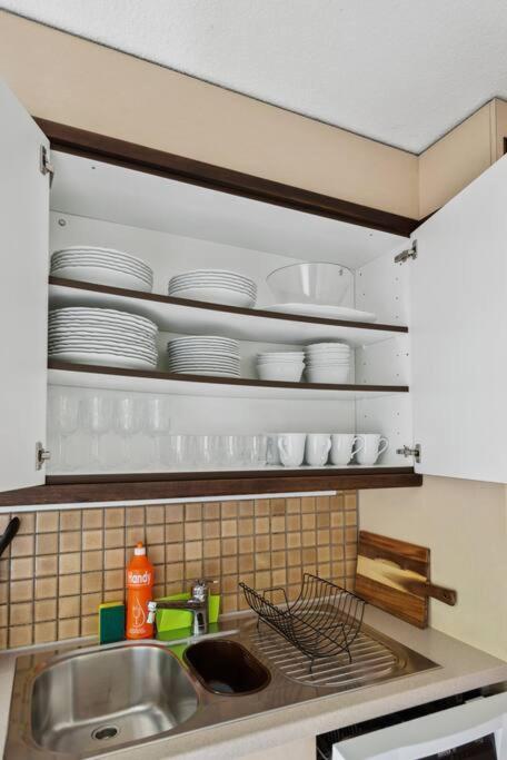 Spacious Apartment In The Heart Of Zurich Zltwg68 Exteriör bild
